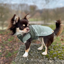 <a href="https://nalas-fashion.de/produkt-kategorie/softshell-mantel/">Softshell Minty</a> Chihuahua Bekleidung,Hundebekleidung,Softshell,Nalas-Faashion,Nalas Fashion,Regenschutz für Hunde